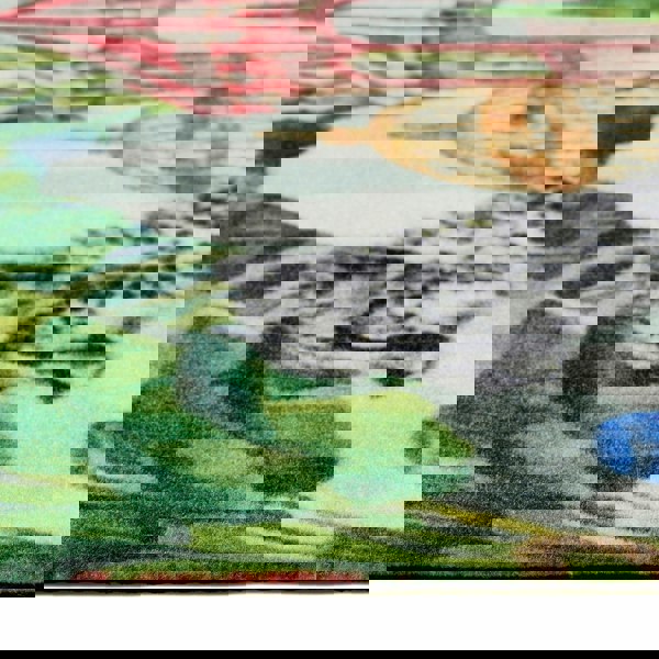 My Mat Studio Collection Lux Leopard