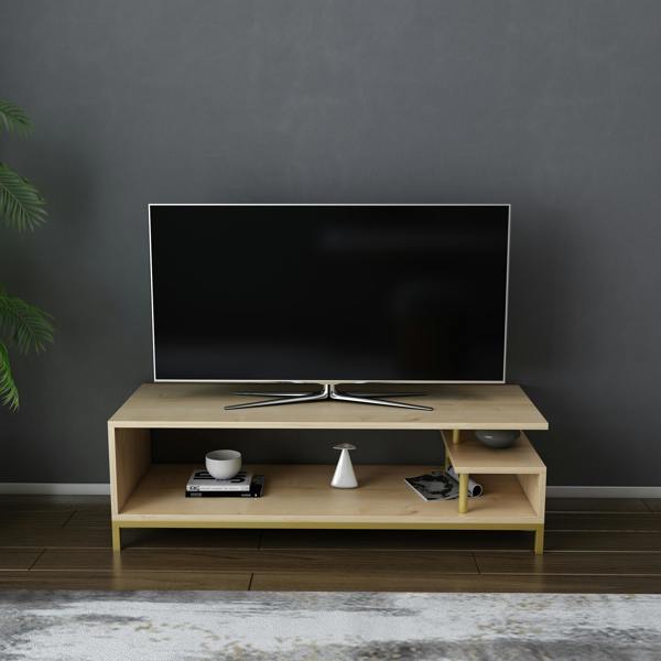 Decorotika Reilly Modern Tv Stand TV Cabinet for TV's up to 55"