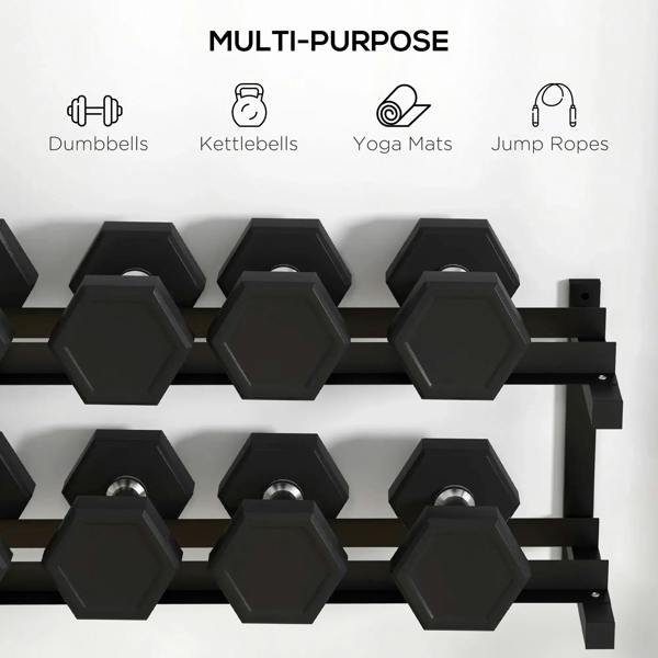 Wall-mounted multi-purpose rack with empty hex-dumbbell holders on two tiers