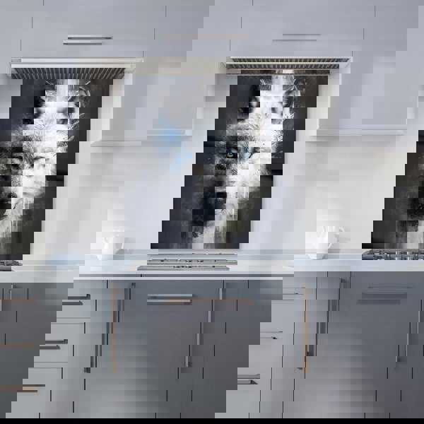 Warren Reed - Designer White Wolf Face Splashart Dark Backgrouns Kitchen Splashback