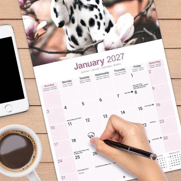 Dalmatian Puppies Calendar 2027, Wall Calendars, Month To View, Dogs, Gift