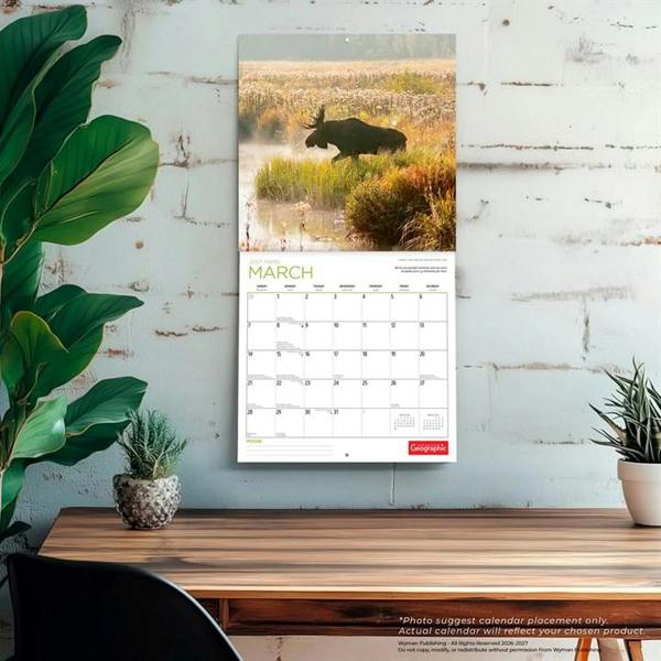 Moose Calendar 2027, Wall Calendars, Month To View, Animals, Gift