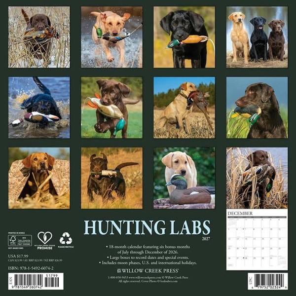 Hunting Labs Calendar 2027, Wall Calendars, Month To View, Dogs, Gift