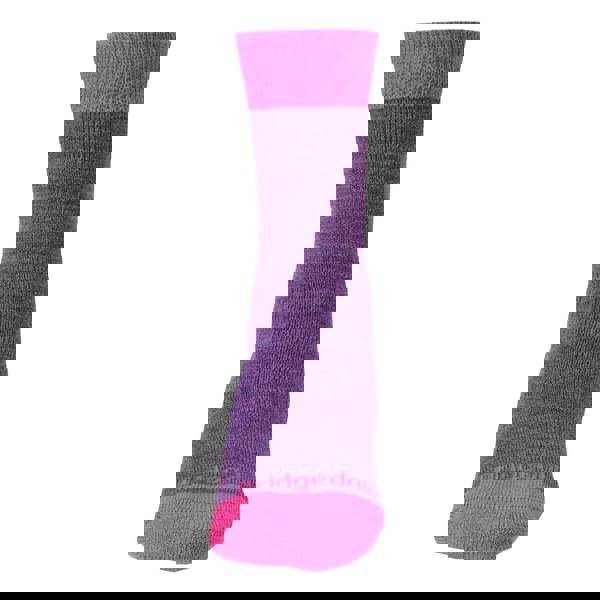 t4option1_1