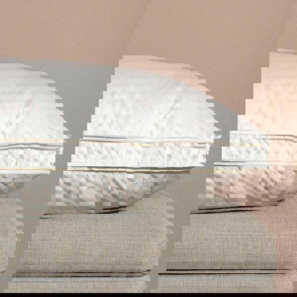 Soak&Sleep Hungarian Goose Down Pillows