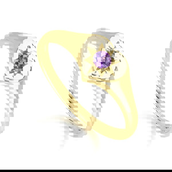 135R2055029 ECFEW™ 'The Liberator' Amethyst Heart Ring in 9ct Yellow Gold Side