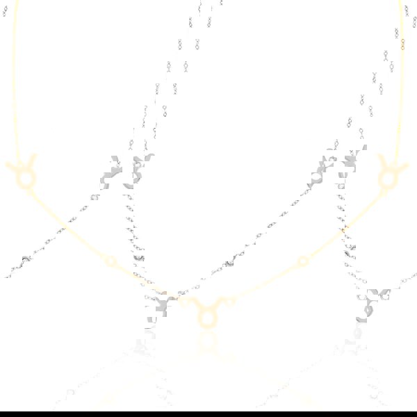 Say It With Taurus Necklace with CZ Stones - Rose Gold Plated