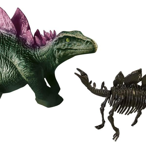 Dino SES Creative Dino and skeleton excavation 2 in 1 - Stegosaurus