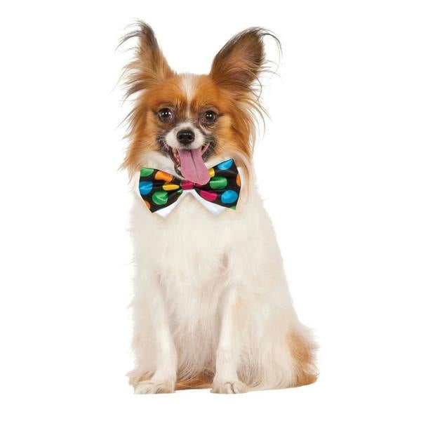 Bristol Novelty Polka Dot Halloween Bow Tie - Black/Green/Blue