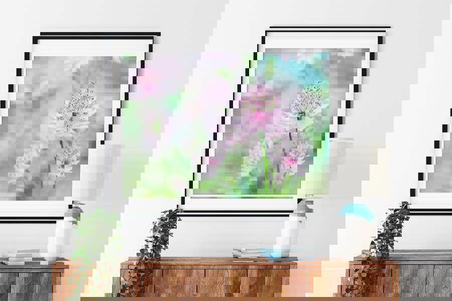 Littlemasterwort flower print framed