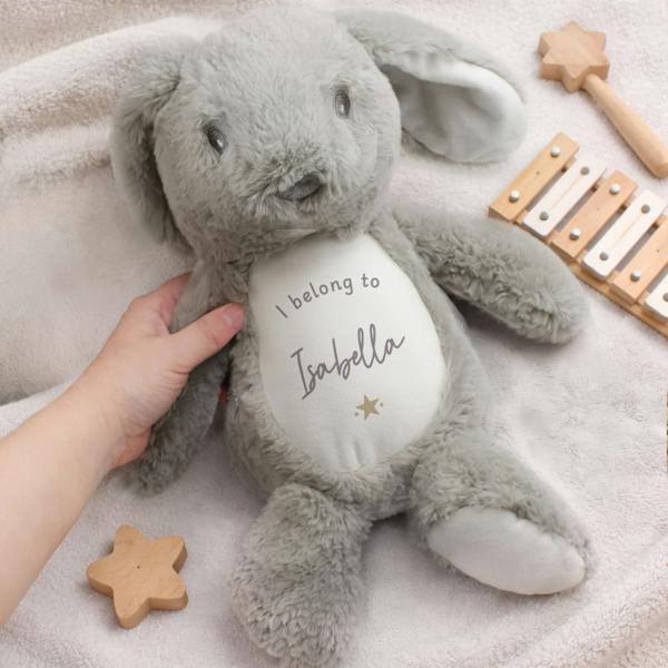 Abode Home & Gifts Personalised 'I Belong To' Bunny