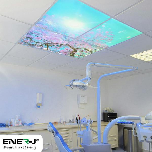 ENER-J 60x60cms SKY Panel with Cherry blossom trees 2D Effect (4 pcs set)