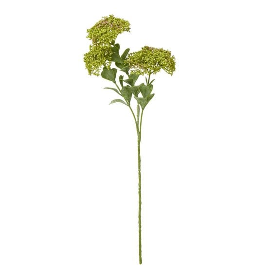 Wyld Haus Set of 3 Artificial Flowers Green Sedum Sprays