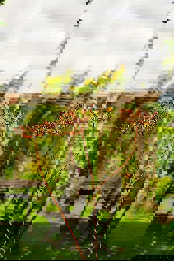 Savage Works Rusty Metal Cow Parsley