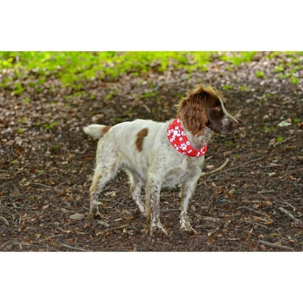 RUFFNEK® Reflective Dog Scarf Snood (Red) – keep your pet safe and visible during UK walks. #ReflectiveDogGear #UKPetAccessories #DogSafety #DogSnood #DogBandana