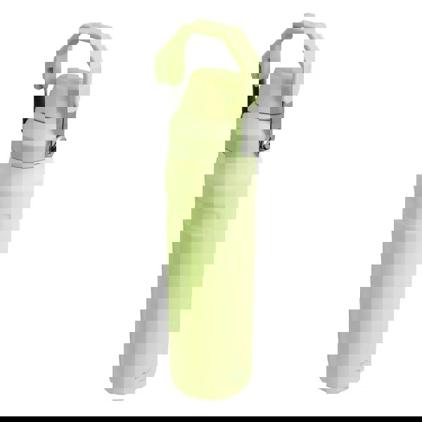 t4option1_2