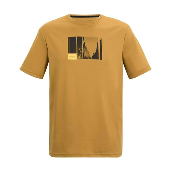 Regatta Mens Fingal Mountain Climbing T-Shirt - Wood Brown - 