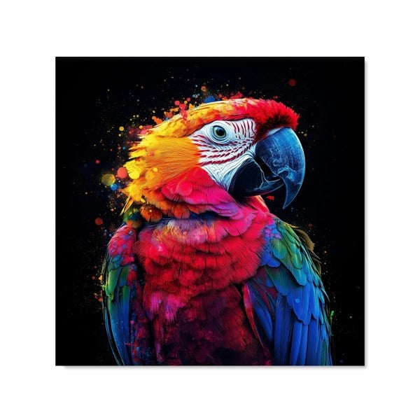 Warren Reed - Designer Vivid Parrot in a Splash of Colour Kitchen Splashback