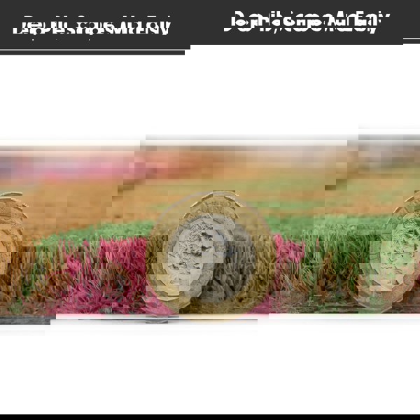 JVL Eco-Friendly Latex Backed Coir Entrance Doormat, 45x75cm - Flowers