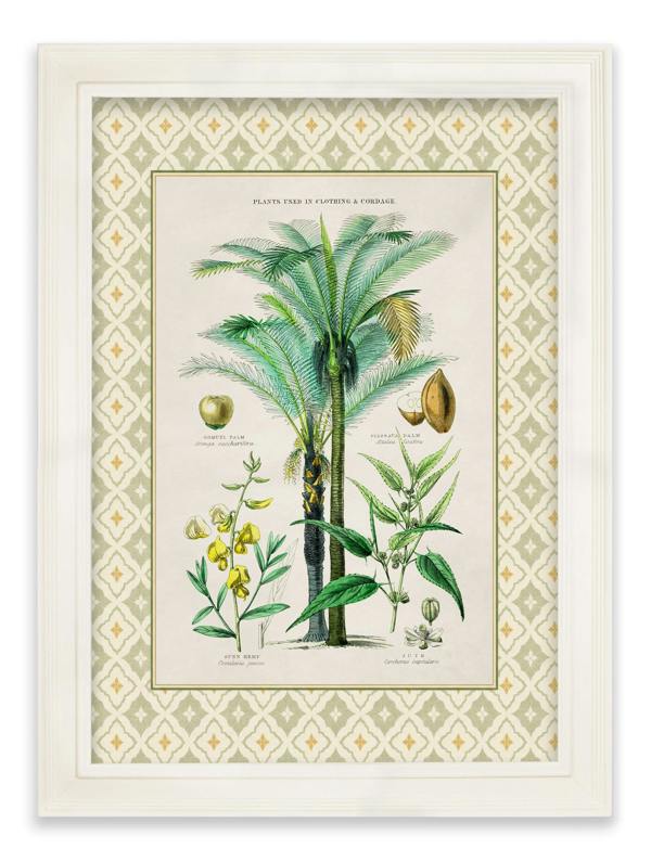 Exceptional Art c.1877 Plants Used as Food and Clothing with Tile Mount - Cream Hurstwood Frame