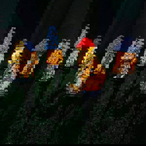 Leaper Solar-Powered Resin Cartoon House Ground Lights