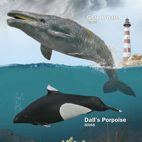 CollectA Dall's Porpoise- Toy Marine Animal Figure, Realistic Ocean Mammal Model