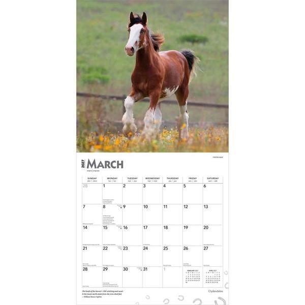Clydesdales Calendar 2027, Wall Calendars, Month To View, Animals, Gift