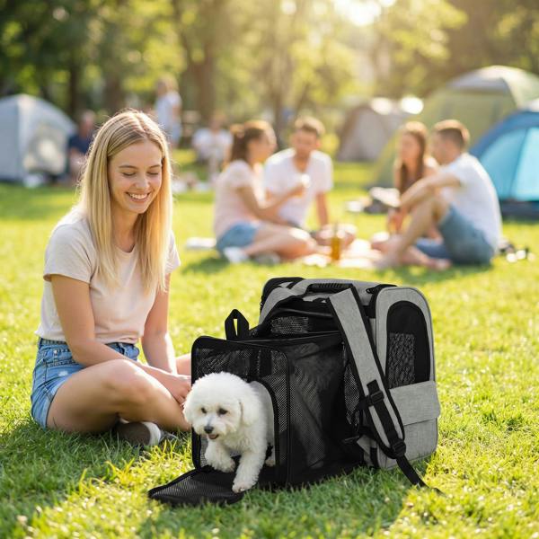 Pet Carrier Bag