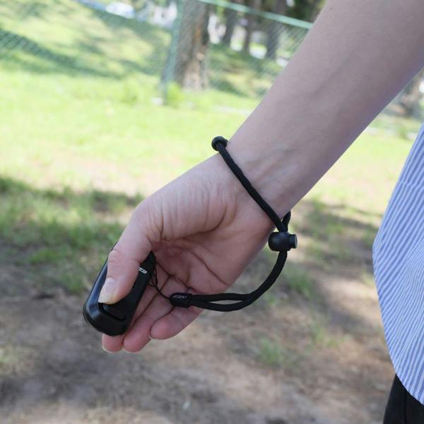 EzyDog Command Training Clicker