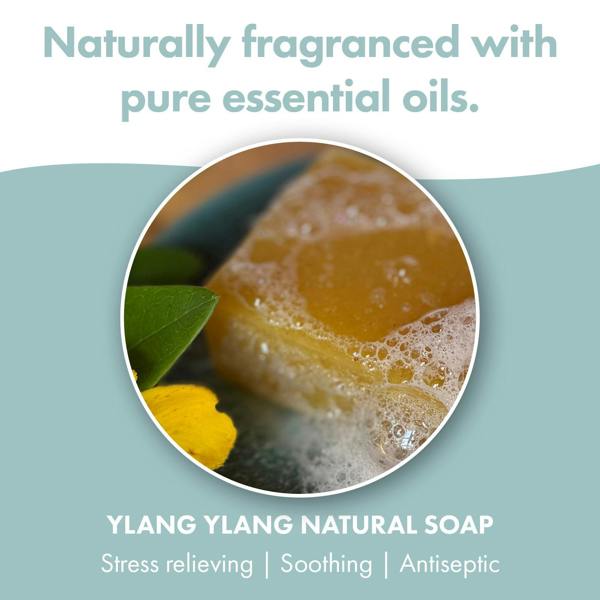 Friendly Soap 3 Pack - Natural Soap - Ylang Ylang