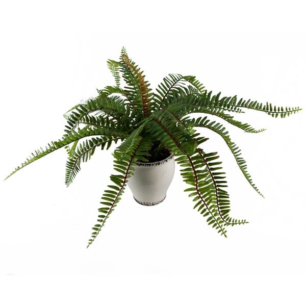 Leaf 40cm Artificial Fern Bush in Decorative Planter