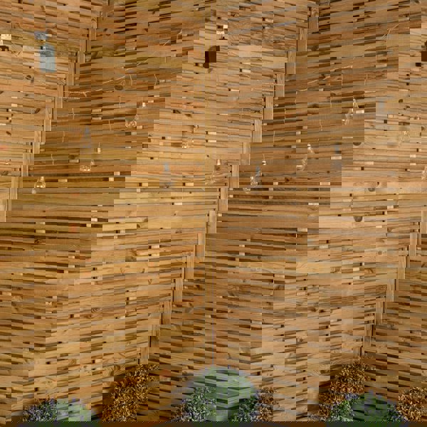 Samuel Alexander 1.2m Set of 5 Battery Operated Light up Edison Style Bulbs with 40 Cool White LEDs