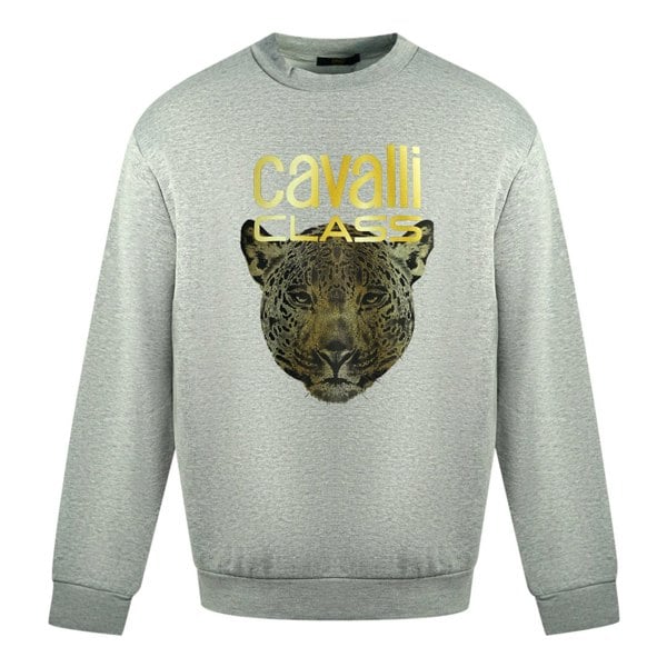 Roberto Cavalli Class Leopard Print Logo Jumper - Grey