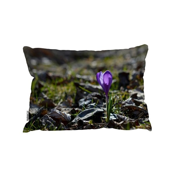 Benjamin Tate Design Purple Crocus Flowers, Colchicum, In A Green Grass Meadow. Close Up Spring Or Autumn Flower Bloom In Nature (Outdoor Cushion)