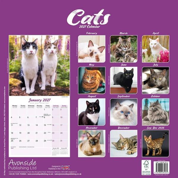 Cats Calendar 2027, Wall Calendars, Month To View, Cats, Gift