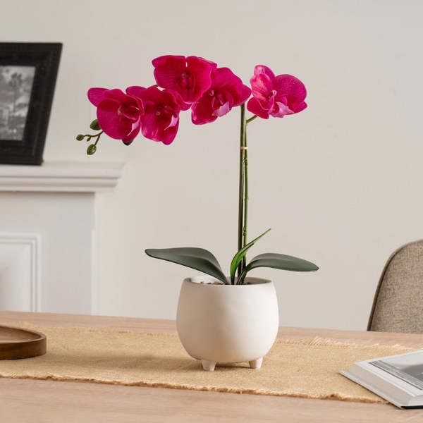 Scottish Everlastings 40cm Pink Orchid in Cement pot