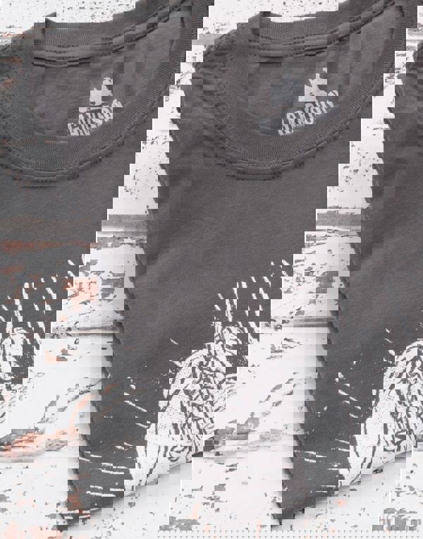 Peaky Blinders Mens Grey Shelby Brothers Short Sleeved T-Shirt