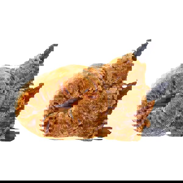 t4option1_0