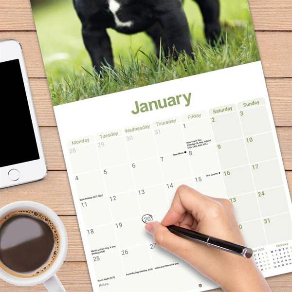 Staffordshire Bull Terrier Calendar 2027, Wall Calendars, Month To View, Dogs, Gift
