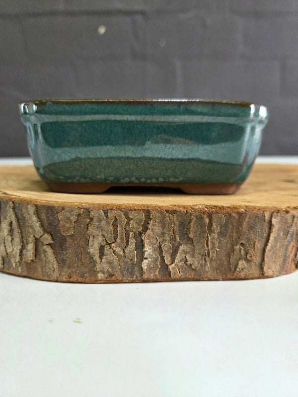 Yorkshire Bonsai 12cm Glazed Bonsai Pot | Rectangle | 12cm x 10cm x 5cm | Light Blue