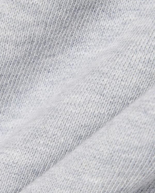Lacoste Regular Fit Mens Fleece Shorts - Silver Chine CCA | CHO | Designer Mens Sweatshorts
