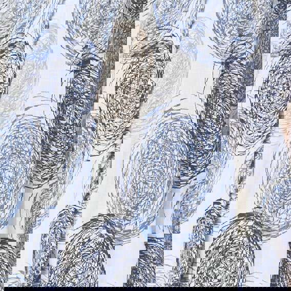 Blue | Printed V-Neck 1/2 Sleeve Blouse