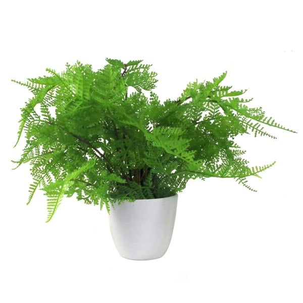 Leaf 30cm Artificial Potted Lady Fern (Athyrium Filix-Femina)