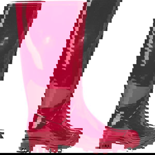 Regatta Womens/Ladies Wenlock Wellingtons - Dark Cerise - 