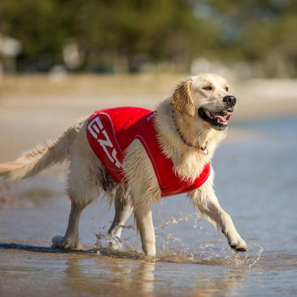 EzyDog UPF 50+ Dog Rash Vest in Red