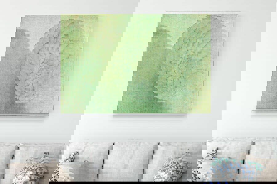 nautilus artwork for interior designs