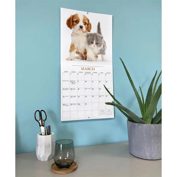 Unbranded Kittens & Friends Calendar 2027, Wall Calendars, Month To View, Cats, Gift