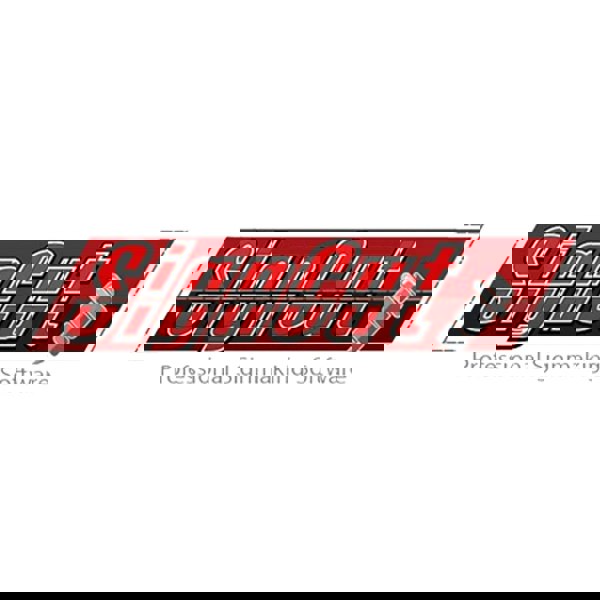 PixMax 38cm Swing Press, 720mm Vinyl Cutter & Epson Printer