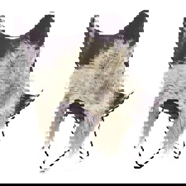 Icelandic Sheepskin | Long Wool | 100-120 cm Natural Grey Light