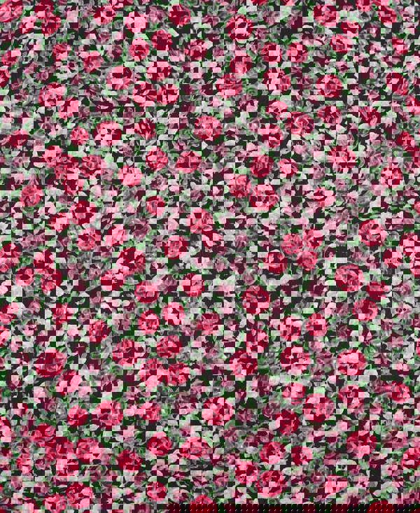 PUFF SLEEVE MINI DRESS ROSE PRINT Detail